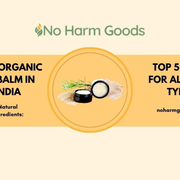 Top 5 Best Organic Lip Balm in India